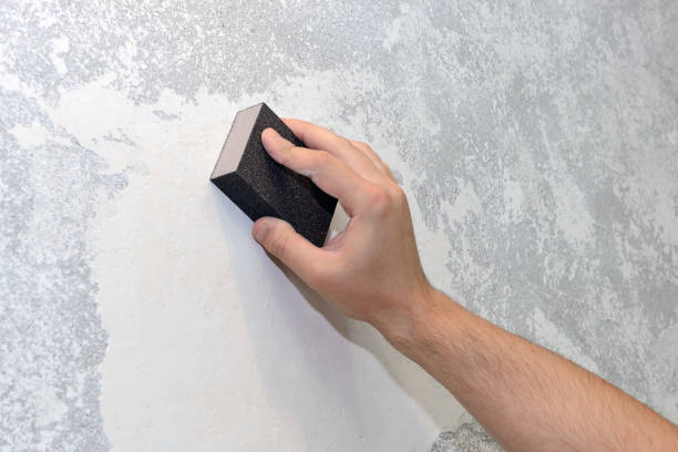 Best Forensic Mold Investigation  in Ferrysburg, MI