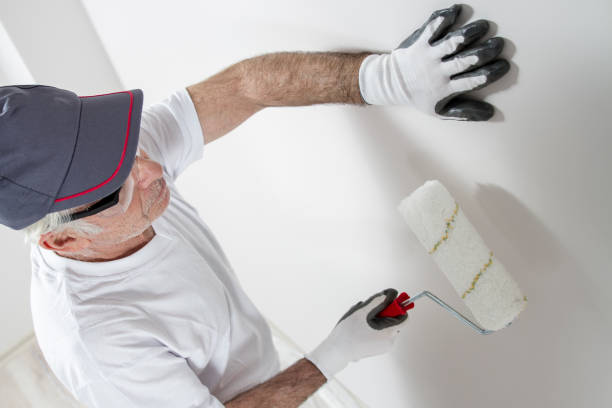 Best Water Damage & Mold Remediation  in Ferrysburg, MI