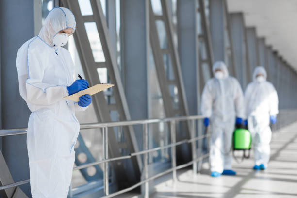 Best Mold Odor Removal Services  in Ferrysburg, MI