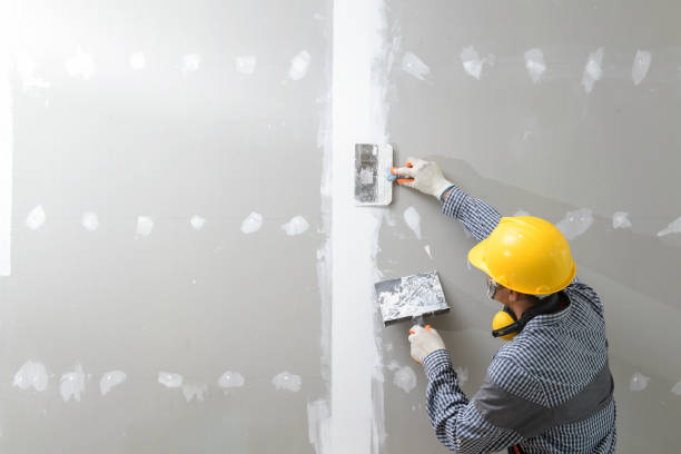 Best Airborne Mold Testing  in Ferrysburg, MI