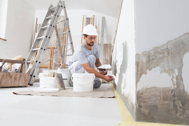  Ferrysburg, MI Mold Removal Pros